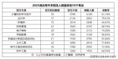 如软件开辟、大数据、人工智能等领